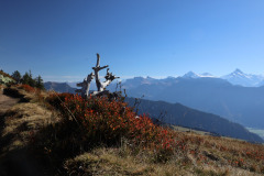 Niederhorn zum Gemmenalphorn 06.10.2022