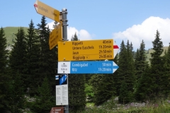 Schwarzsee 16