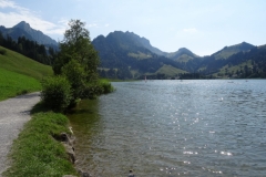 Schwarzsee 25