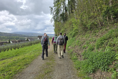 Wanderung von Rafz nach Eglisau 10.04.2024