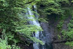 Wanderung zum Mutzbachfall 04.07.2024