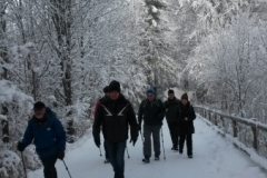 Winterwanderung 6